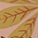 Kaki