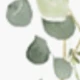 Blumen 1
