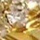 Dorado