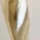 Amarillo Oro