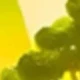 Yellow Woods