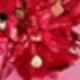Ice Leaf Plum Blossom