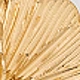Dorado