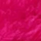 Rosa Fucsia