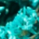 Sky Blue (crystal Grass)