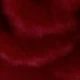 Rose Red