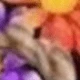 Multicolor