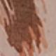 Kaki