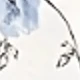 Blu e Bianco