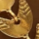 Amarillo Oro