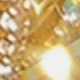 Amarillo Oro