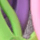 Multicolor