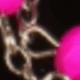 Rosa Fucsia