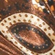 Paisley marron