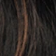 Brown Highlight