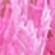 Pink (Lover's Grass)