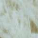 White (Lover's Grass)