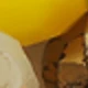 Amarillo Oro