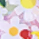 Multicolorido