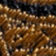 Doré