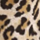 Kaki