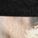 2 Fotos und Text
