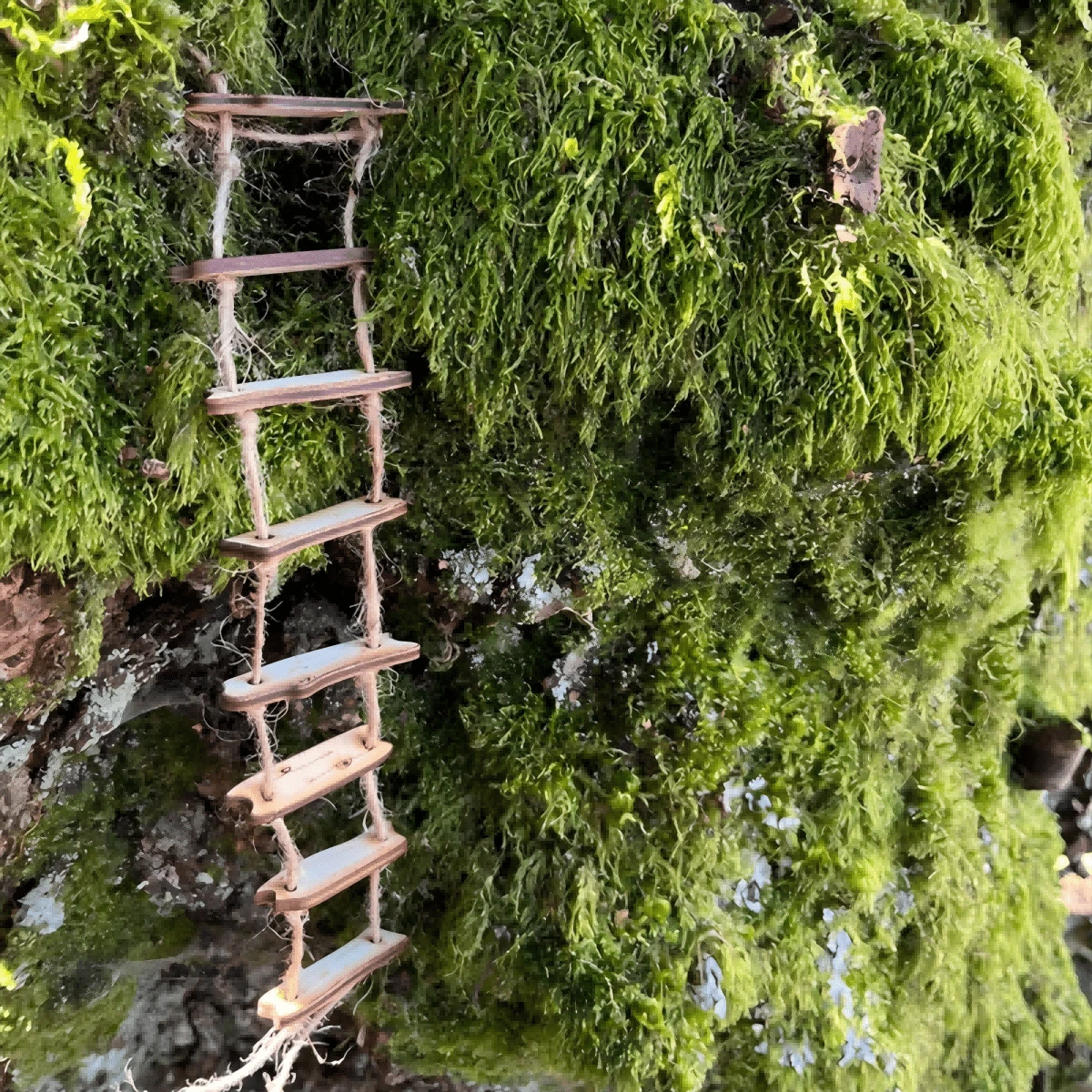 1 Set Feenbrücke, kreative Feenbrücken Miniaturgarten Deko, hölzernes Kunsthandwerk Heim- und Gartendekoration