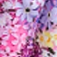 Multicolor-floral