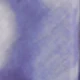 Prune