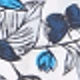 White Blue