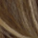 Blonde Highlight