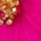 Rosa Fucsia