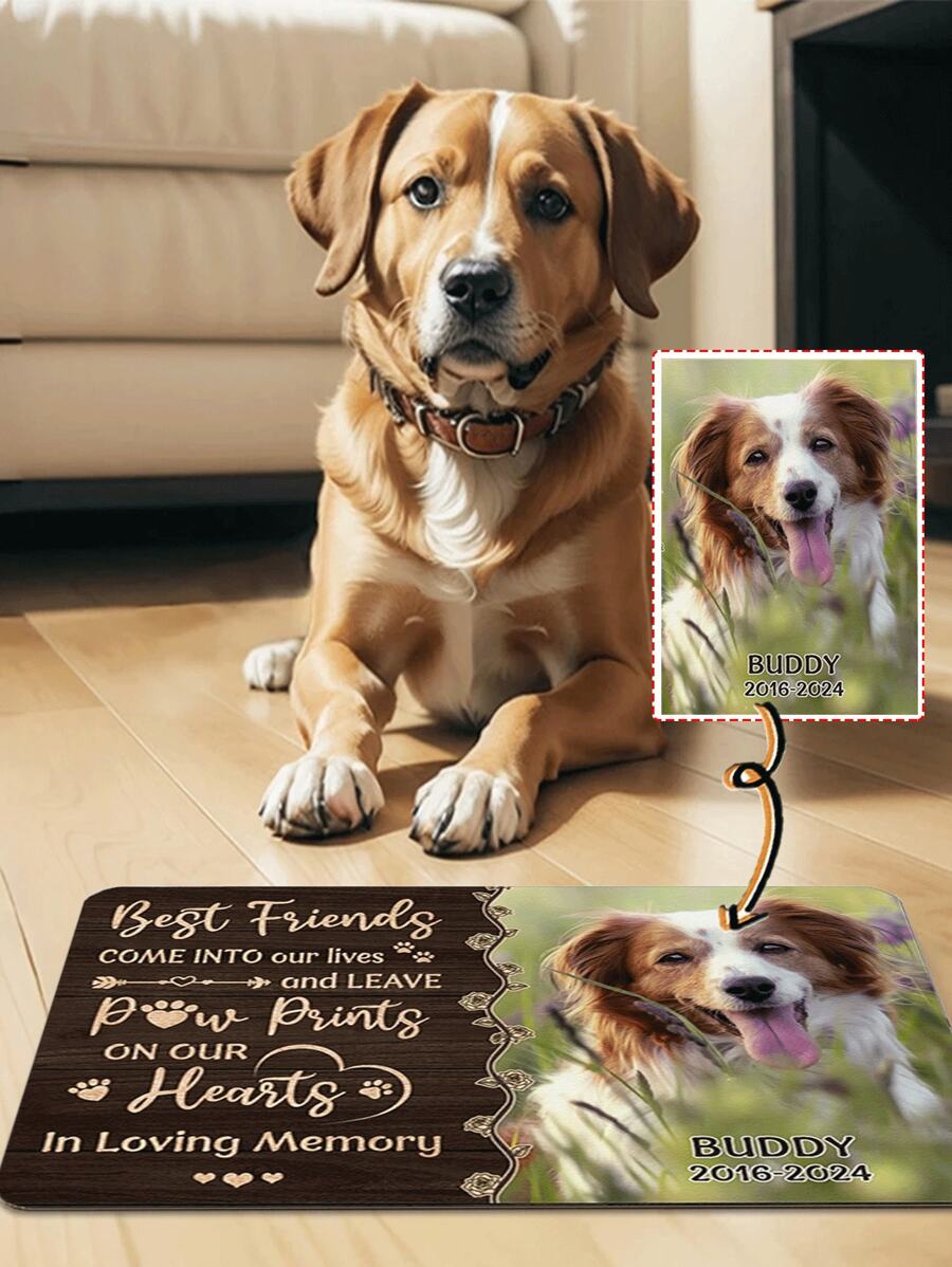 1pc Customized Simple Diatomite Pet Mat, Spill-Proof For Cats And Dogs, Dirt-Resistant And Anti-Slip, Water-Absorbent And Easy To Clean Household Floor Mat