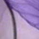 Prune