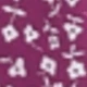 Prune