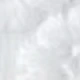 Cordón