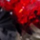 Rojo floral
