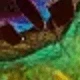 Brățară cu pene colorate