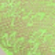 Fruit Green