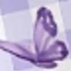 Malva