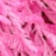 Erba rosa dell'amore