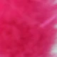 Rose Red 1