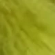 Fruit Green 1