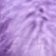 Purple 1