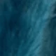Peacock Blue 1