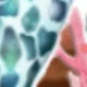 transparente
