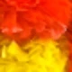 Red Yellow