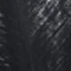 noir 2