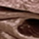 Kaki