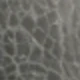 Black (silver Buckle)